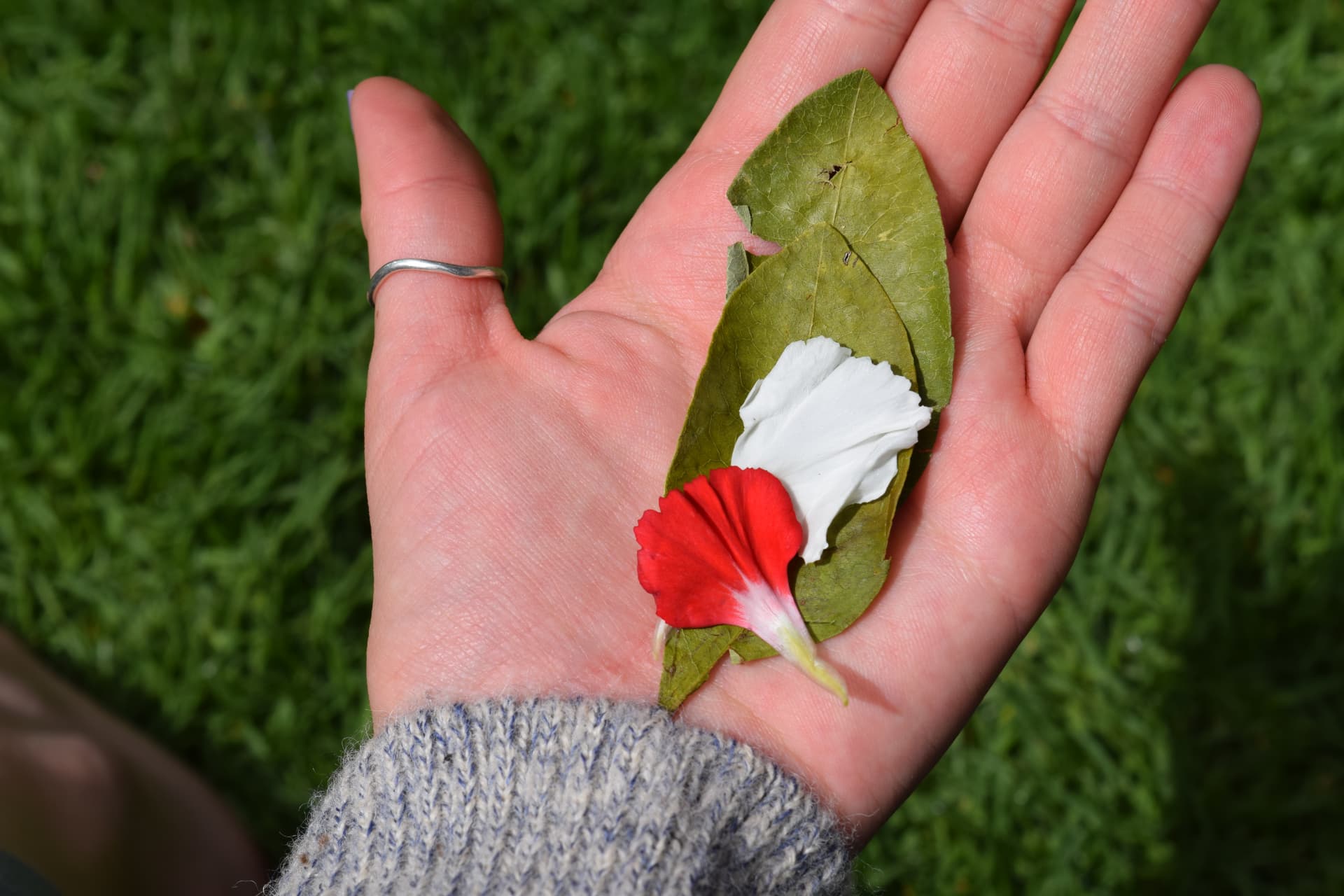 Why the Q'ero People May Hold One of the World's Best-Kept Secrets to Healing